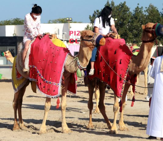 WM 2022: Katar empfiehlt Vorsichtsmaßnahmen gegen das „Kamelvirus“ – ein gefährliches Coronavirus Kamel_Katar