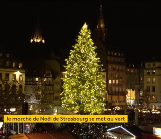 Weihnachtsmarkt in Straßburg wird grün Weihnachtsmarkt_Strassburg
