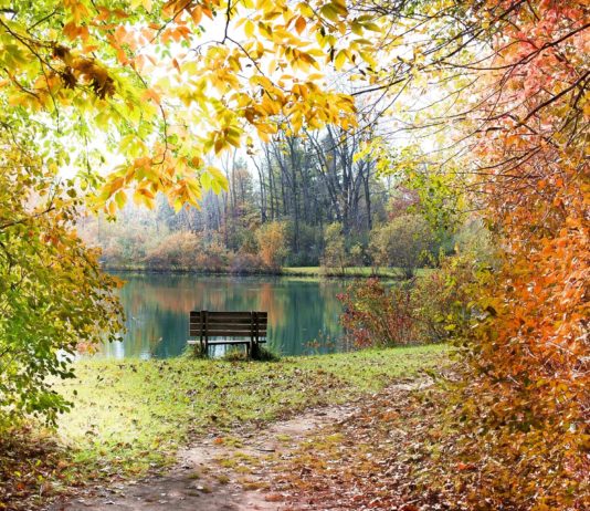 Oktober 2022 laut Météo-France der wärmste Oktober, der je in Frankreich gemessen wurde Oktober_Herbst