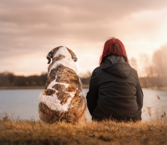 Trockenfutter und Katzenstreu – Produkte für Haustiere werden bis 2023 um 41% teurer Hund_Haustier