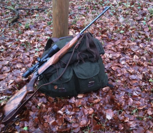 Jagdunfall im Departement Gard: Ein Jäger wird durch einen Schuss an der Schläfe verletzt Jagdunfall