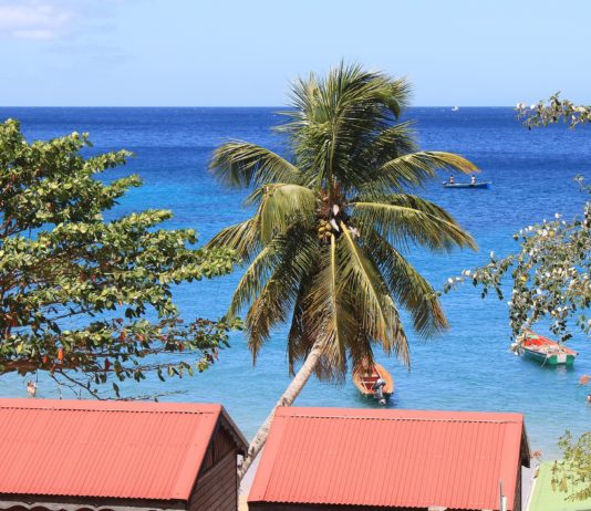 Umwelt: Die Küste von Martinique von steigendem Wasserspiegel und Erosion bedroht martinique