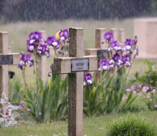 Marne: Leiche eines deutschen Soldaten aus dem Ersten Weltkrieg von Spaziergänger entdeckt Soldatenfriedhof