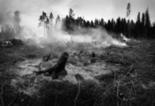 Zwei Brände auf Korsika unter Kontrolle: 400 Hektar Maquis zerstört – Einsatzkräfte in Alarmbereitschaft Waldbrand-Schwelbrand