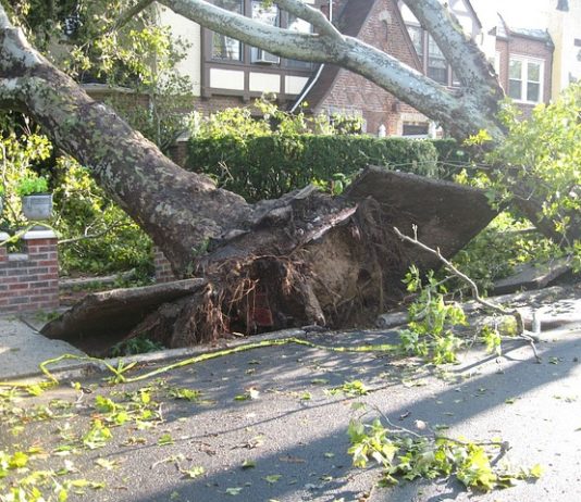 Sturm: Dorf im Departement Marne verwüstet Sturmschaden
