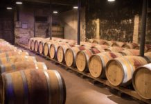 Der Beaujolais nouveau ist wieder da! Beaujolais