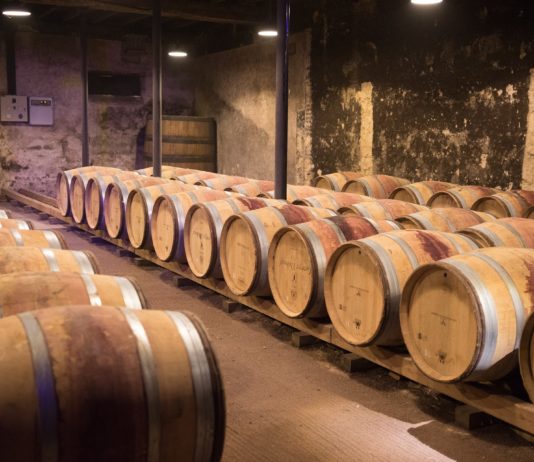 Der Beaujolais nouveau ist wieder da! Beaujolais