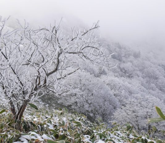 Wetter: Hochdruckgebiet aus Russland wird ab Mittwoch die Temperaturen in Frankreich sinken lassen Morgenfrost