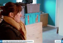 Umweltverschmutzung: In der Nähe von Lyon gehen Familien wegen „Ökozids“ vor Gericht Verseuchte_Wohnungen