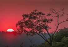 Wetter: Was ändert sich durch die Wintersonnenwende am 21. Dezember? Wintersonnenwende