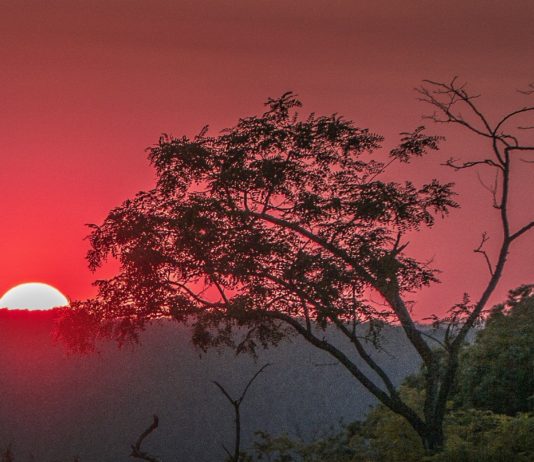 Wetter: Was ändert sich durch die Wintersonnenwende am 21. Dezember? Wintersonnenwende