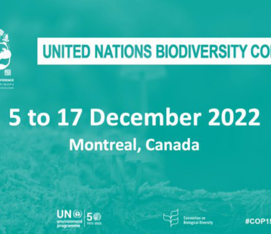 COP15 zur Biodiversität: „Die Menschheit ist zu einer Massenvernichtungswaffe geworden“ sagt UN-Generalsekretär cop-15-biodiversite-montreal