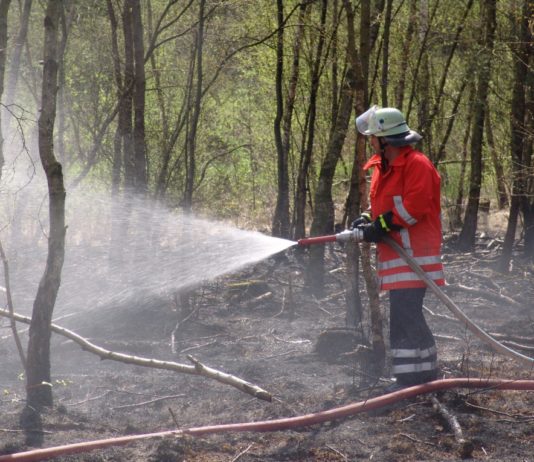 Frankreich rüstet sich für den Feuer-Sommer: Wie Feuerwehr, Technik und Bürger gemeinsam Brände verhindern sollen Feuerwehr
