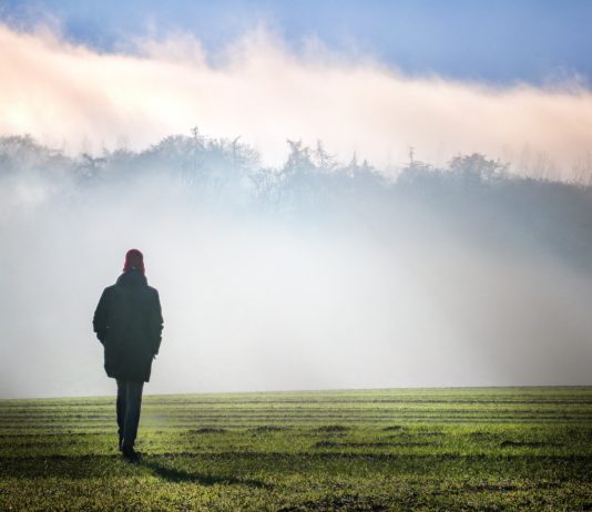 Wetter: +10 Grad in 24 Stunden – aber wie lange wird die Wärme anhalten? Winter_Nebel