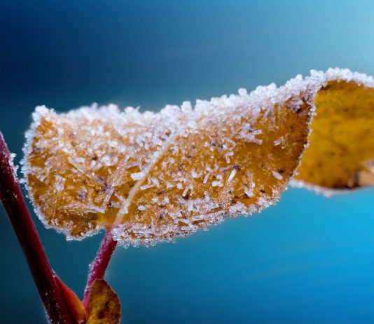 Wetter: Temperaturen unter Null und bedeckter Himmel – die Vorhersage für diese Woche Frost
