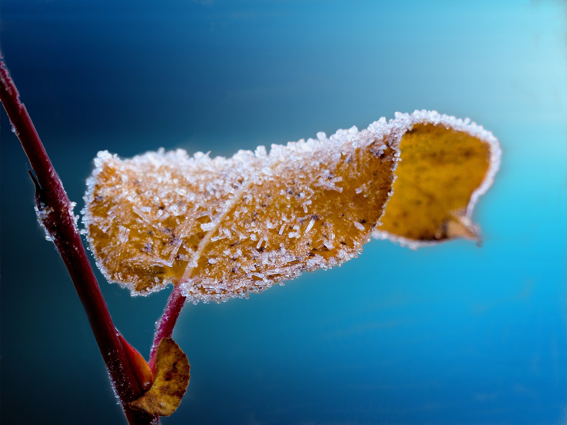 Wetter: Temperaturen unter Null und bedeckter Himmel - die Vorhersage für diese Woche