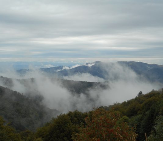 Vogesen: Grüner Tourismus zur Erhaltung einer reichen Natur Grand-Ballon-Vogesen