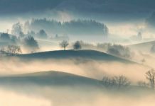 Weihnachts- und Neujahrszeit – Rauhnächte, die „Zeit zwischen den Jahren“ Winterlandschaft_Nebel