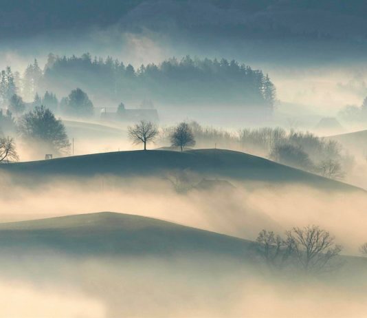 Weihnachts- und Neujahrszeit – Rauhnächte, die „Zeit zwischen den Jahren“ Winterlandschaft_Nebel