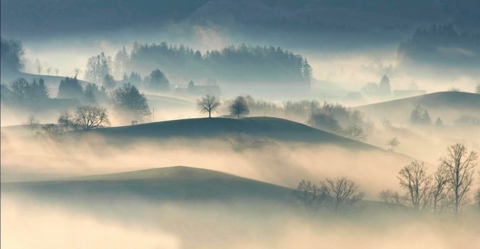 Winterlandschaft_Nebel