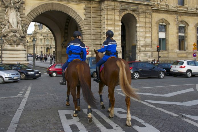 Gendarmerie_Pferd