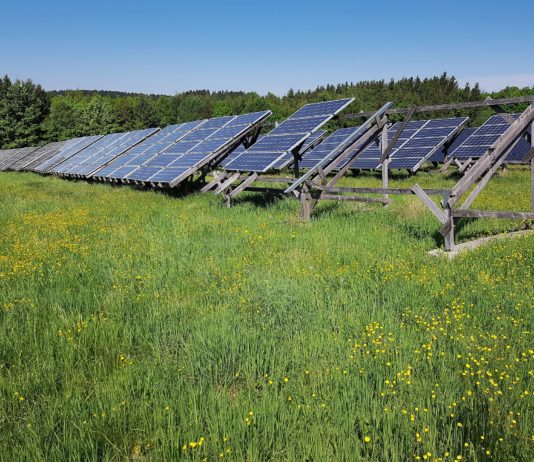 Energie: In einem Dorf im Departement Aude steht das erste von Einwohnern finanzierte Solarkraftwerk Solaranlage_Feld