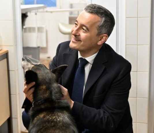 Tierquälerei: 4.000 speziell ausgebildete Beamte in französischen Kommissariaten Darmanin_Tierheim