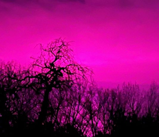 Knallrosa Himmel mitten in der Nacht – was war da los in Belgien? Rosa_Himmel_über_Flandern