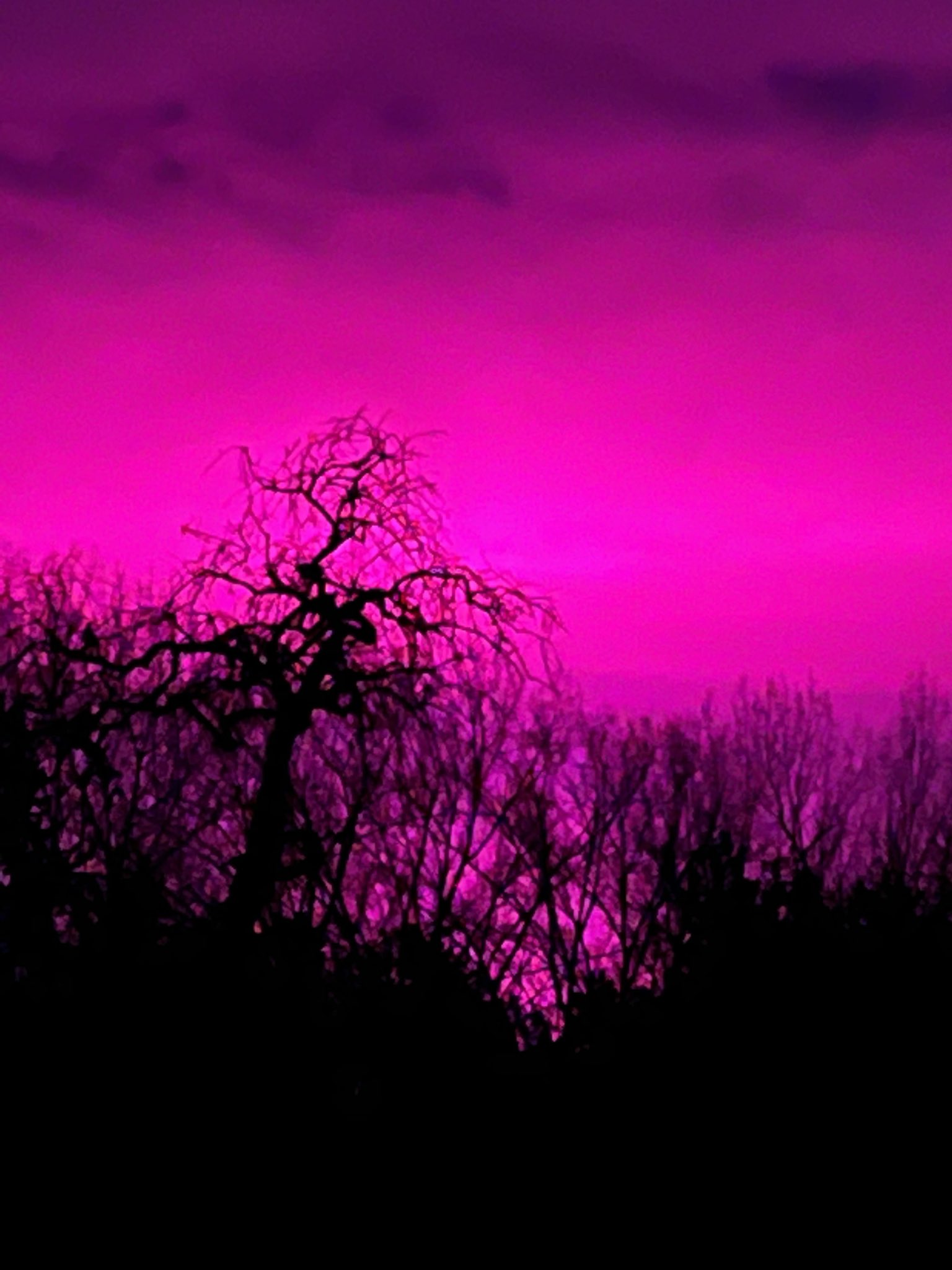 Knallrosa Himmel mitten in der Nacht - was war da los in Belgien?
