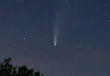 Ab heute kann man den Kometen „ZTF“, der nur alle 50.000 Jahre zu sehen ist, mit bloßem Auge beobachten Komet_Vorbeiflug