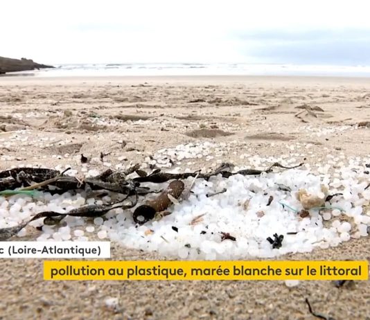 Hunderttausende Plastikkugeln verschmutzen die französische Atlantikküste Plastikkugeln_am_Strand