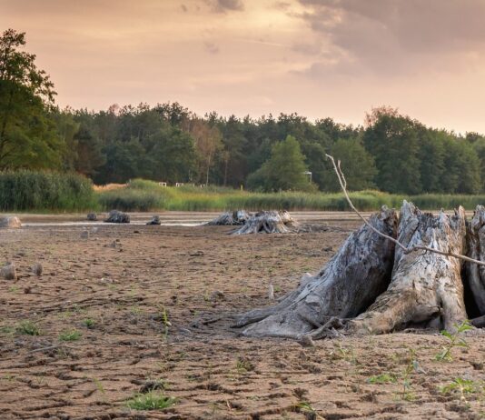 Globale Erwärmung: Nach 32 Tagen ohne Regen – Frankreich im Dürrealarm Trockenheit