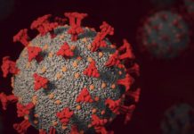 Neue Welle in Sicht? Frankreich erlebt die Rückkehr des Coronavirus Corona-Varianten