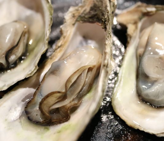 Achtung: Kontaminierte Austern bei Carrefour, Leclerc, Intermarché und Super U entdeckt Austern