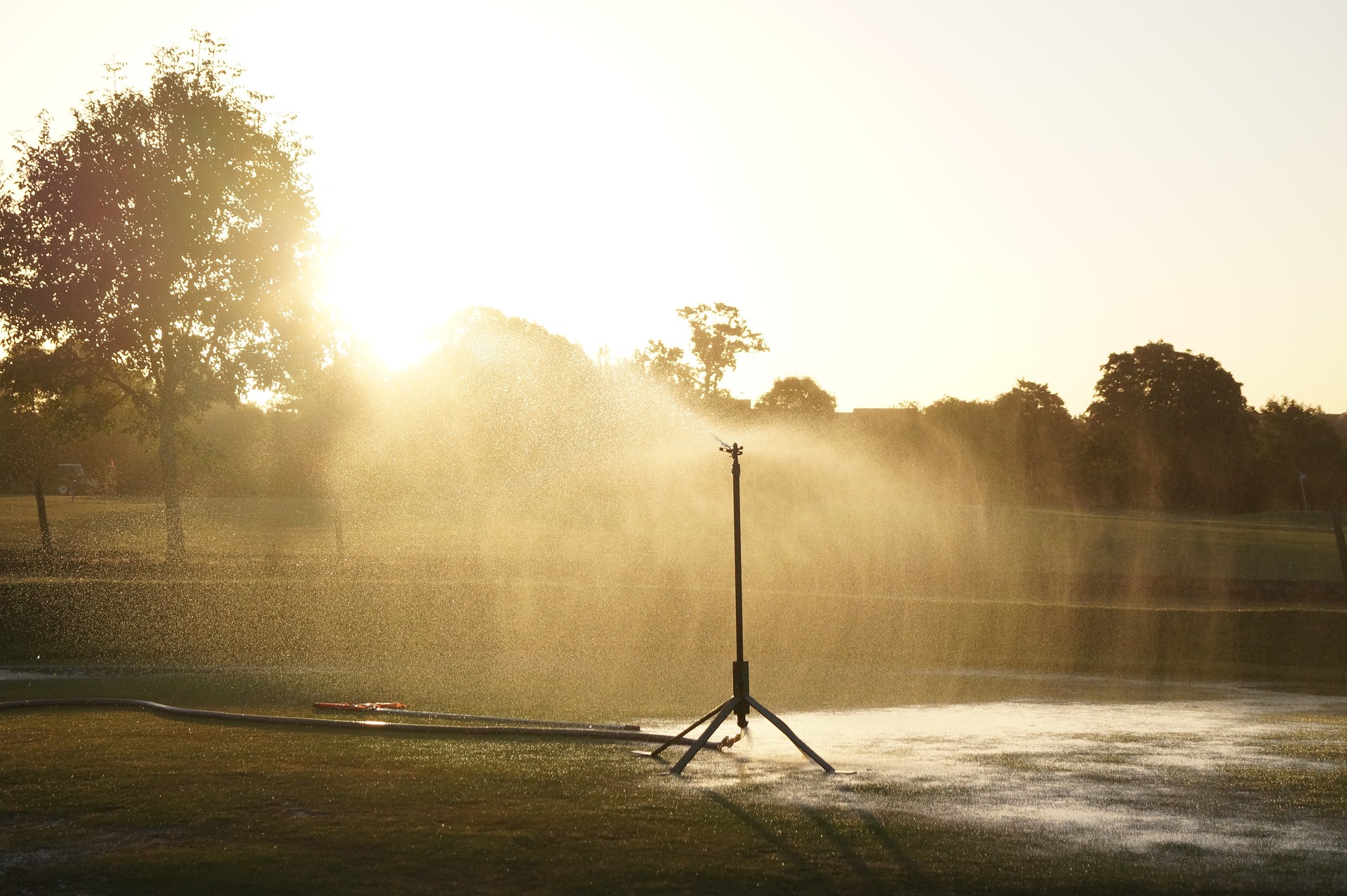 Wasserknappheit: In Sainte-Maxime wird der Golfplatz mit wiederaufbereitetem Abwasser bewässert