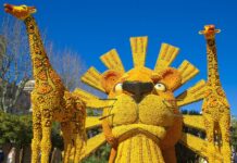 Zitronenzauber am Mittelmeer – wenn Menton im Gelb explodiert Fete_du_Citron_Menton_2017_Wiki