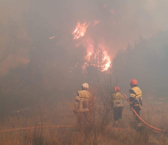 Bouches-du-Rhône: 230 Feuerwehrleute bekämpfen ersten Waldbrand des Jahres Brand_Mouries