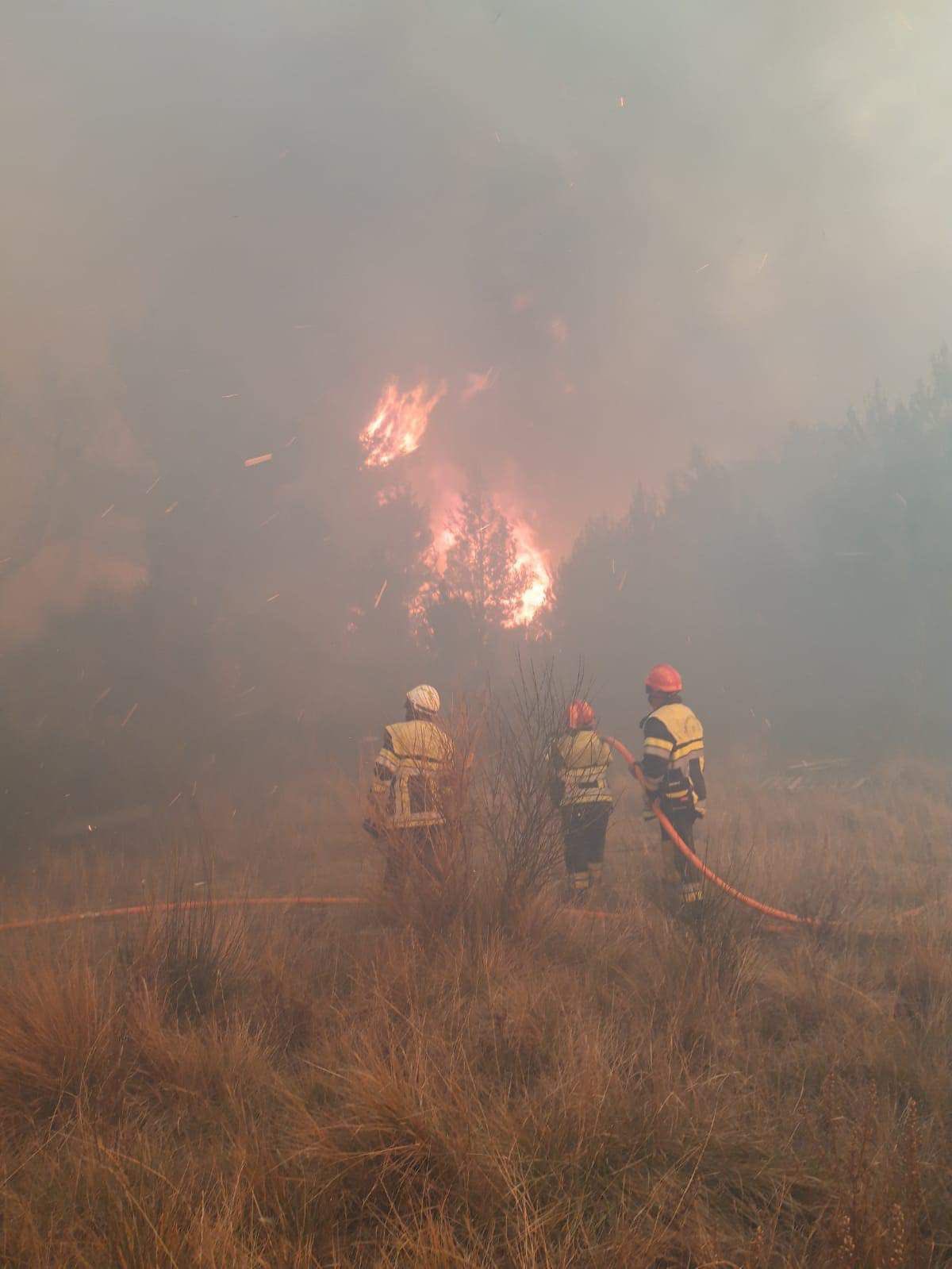 Bouches-du-Rhône: 230 Feuerwehrleute bekämpfen ersten Waldbrand des Jahres