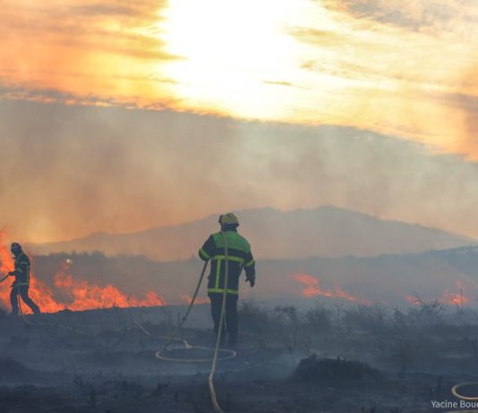 Pyrénées-Orientales: Waldbrand zerstört mehr als 40 Hektar Vegetationsbrand