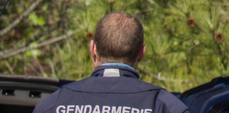 Grausiger Fund im Gefrierschrank: Justiz ermittelt nach Fund von Säuglingsleichen Gendarmerie-Illustration