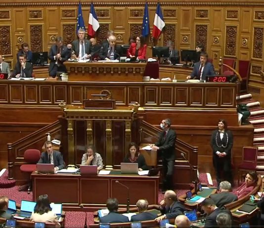 Abtreibung: Senat spricht sich für Verankerung in der französischen Verfassung aus Screen_Public_Senat