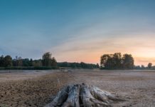 „Es ist trocken“: Im Norden Frankreichs wächst die Sorge der Landwirte Trockenheit_Illustration