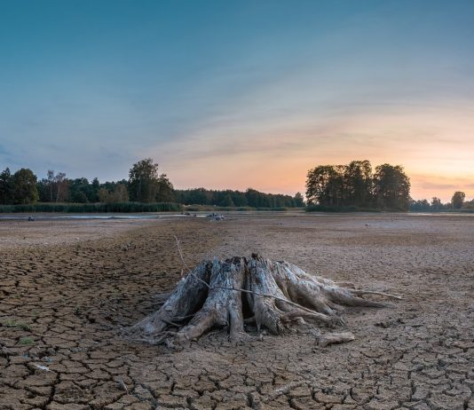Trockenheit: In der Ariège macht der Wasserstand des Lac de Montbel grosse Sorgen Trockenheit_Illustration