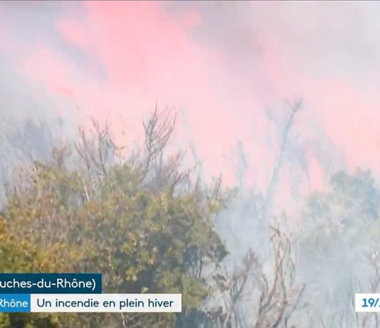 Waldbrand bei Mouriès: Das Feuer wurde unter Kontrolle gebracht Waldbrand_Mouries