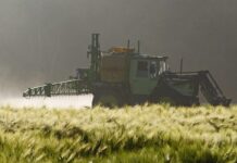 Kommentar: Mit Gift im Acker – Warum wir uns mit unserem Essen selbst vergiften Feld_Pestizide