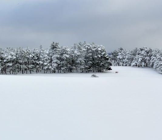 Pyrenäen ab Dienstagmorgen auf Warnstufe Orange wegen Schnee und Eis Schnee_Pyrenäen