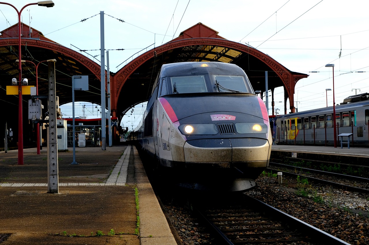 Val-de-Marne: Frau stösst Taschendieb im Bahnhof unabsichtlich vor heranfahrenden TGV