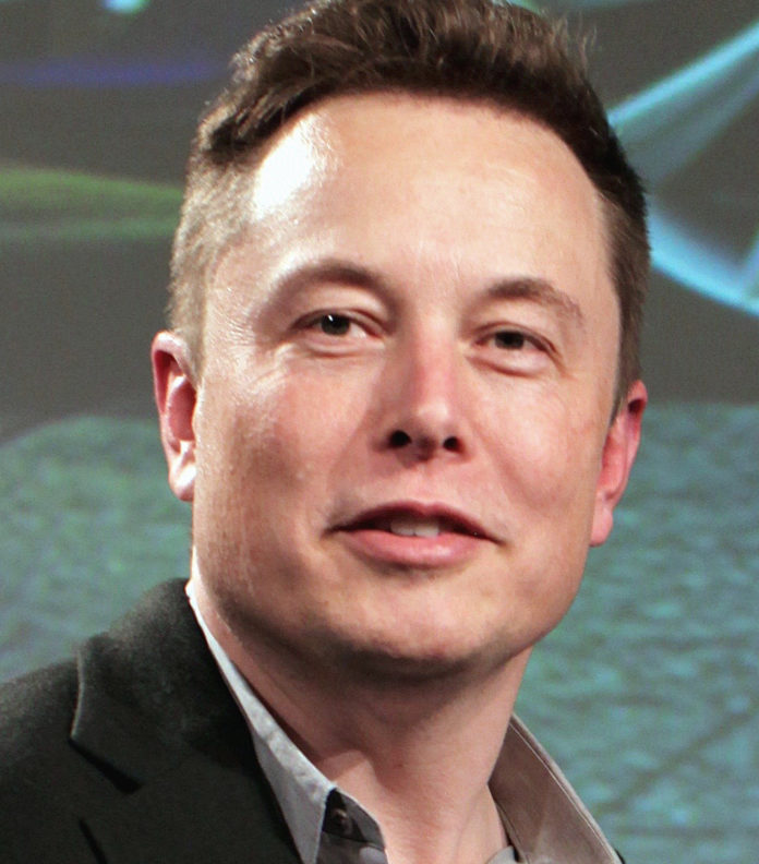 Elon_Musk_Wiki