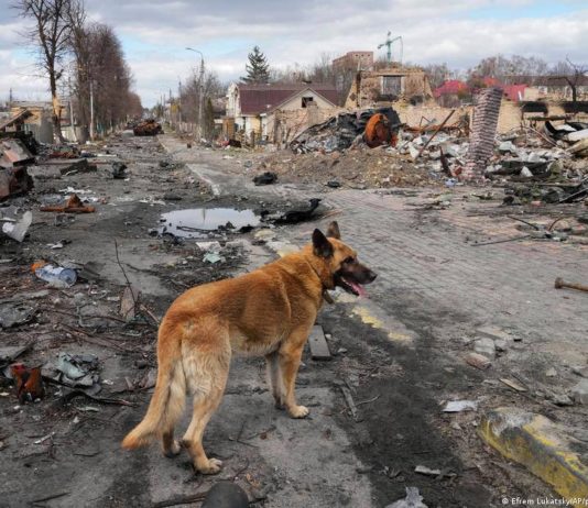 Emmanuel Macron: Ein Jahr nach Butscha darf „kein Kriegsverbrechen vergessen werden“ Butscha