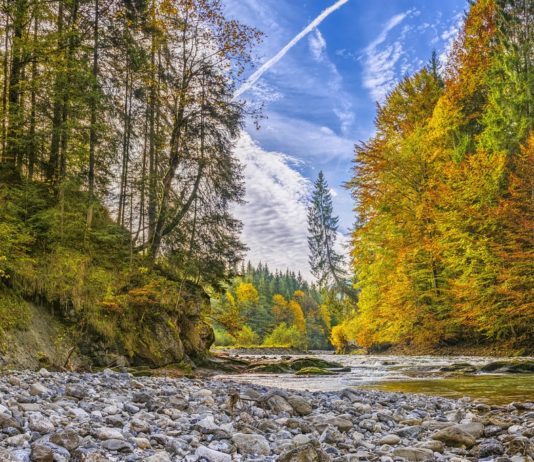 Frankreich: Forellenfischer besorgt über niedrige Wasserstände in Bächen und Flüssen Bach